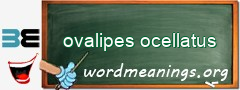 WordMeaning blackboard for ovalipes ocellatus